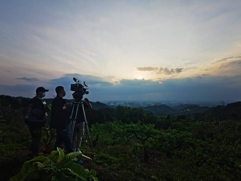 聚焦滨江区产品宣传视频拍摄公司，用专业实力铸就品牌传播传奇