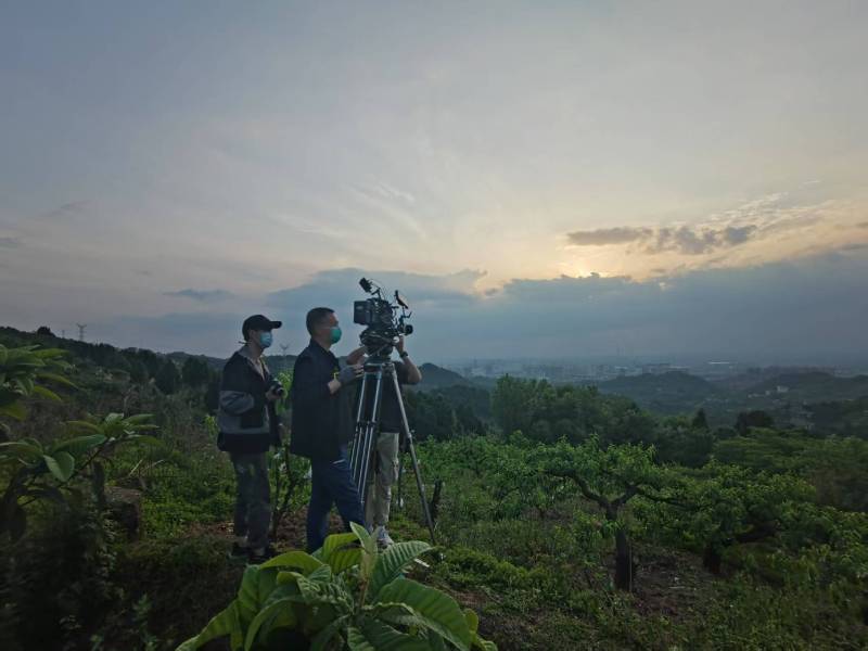 创意破圈！滨江区电商产品宣传视频用故事化叙事引爆流量