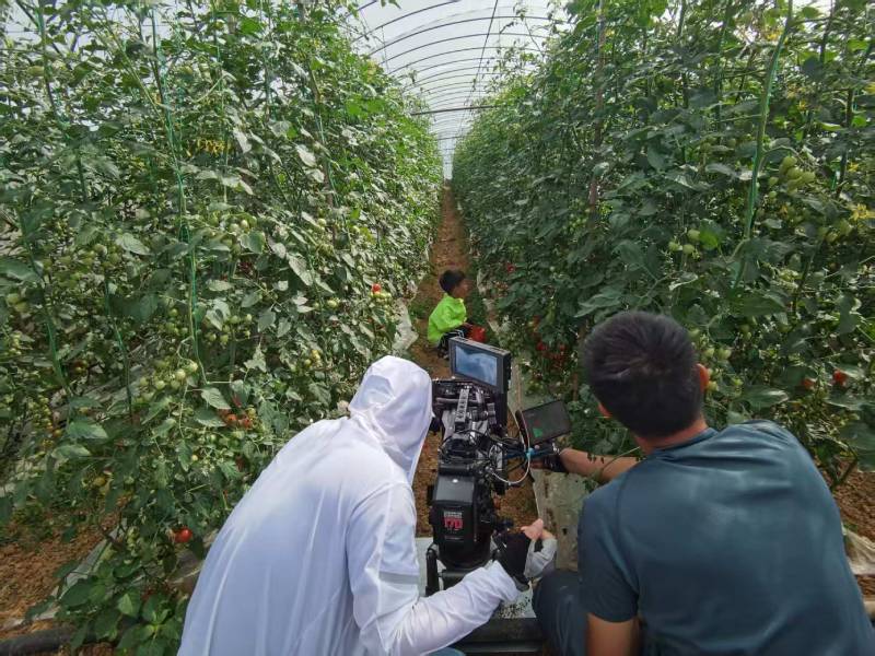 滨江区产品宣传视频拍摄公司进阶指南，助力品牌抢占传播高地